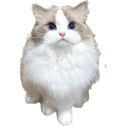 657503067.png