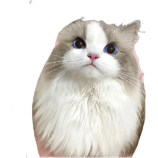663134395.png