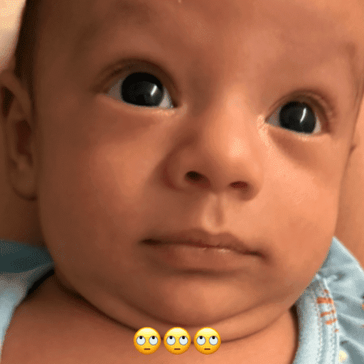 Theo 8