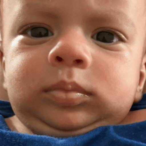 Theo 6