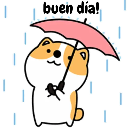 Patyflo 120 🇲🇽 lluvia # 1 3