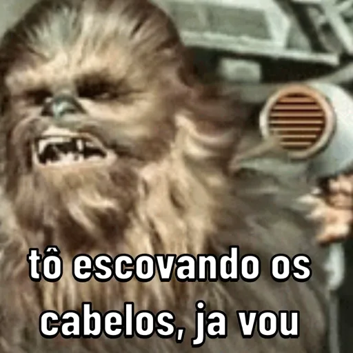 Animados 15