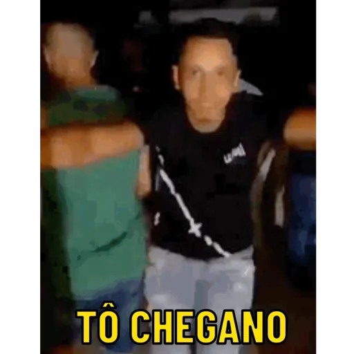Animados 11