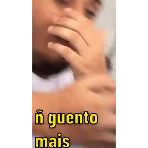Animados 7