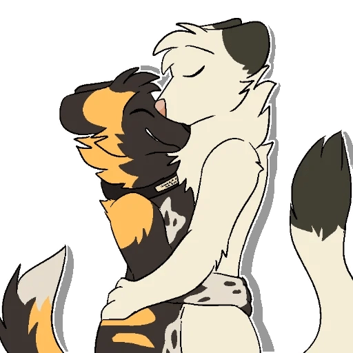 FURRY 43 • Taiiawd 2 9