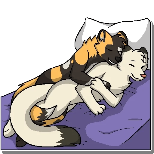FURRY 43 • Taiiawd 2 19