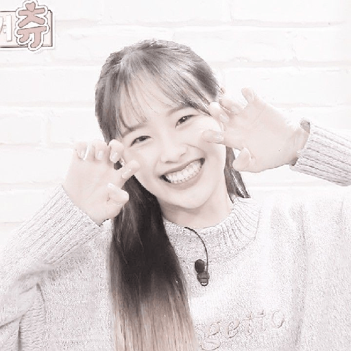 Softy 24