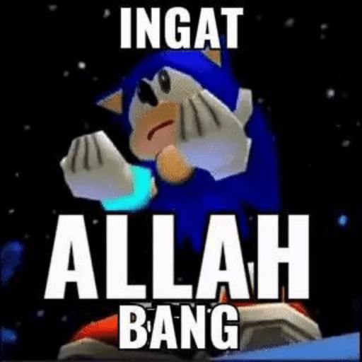 Meme random 29