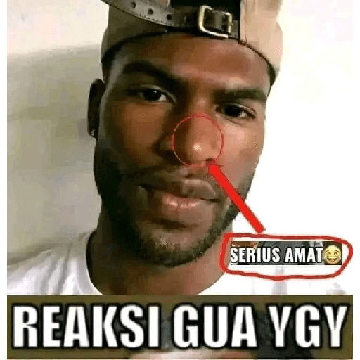 Meme random 1