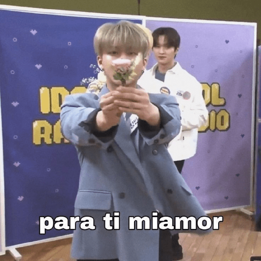 Stray kids random 8