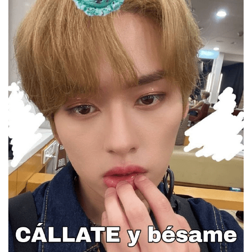 Stray kids random 5