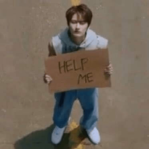 Stray kids random 11