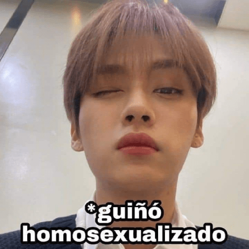 Stray kids random 16