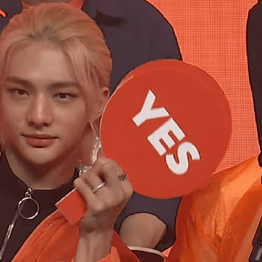 Stray kids random 19