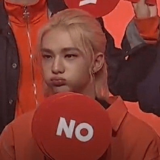 Stray kids random 20