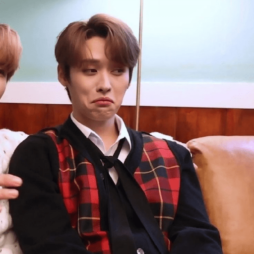 Stray kids random 22