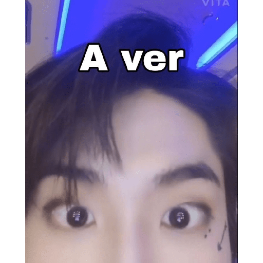 Stray kids random 24