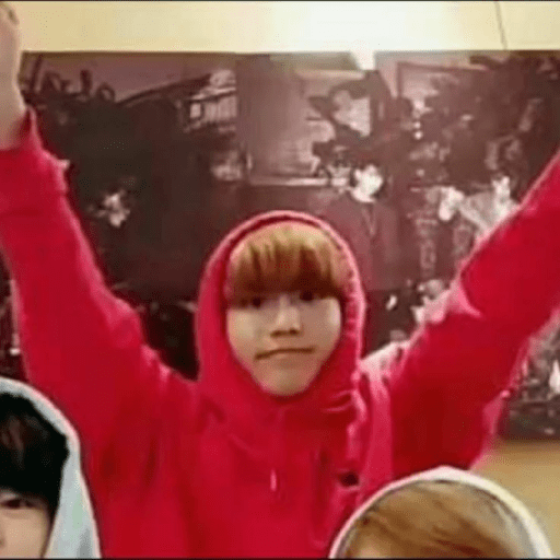 Stray kids random 25