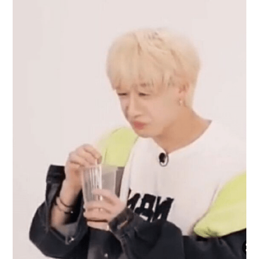 Stray kids random 26