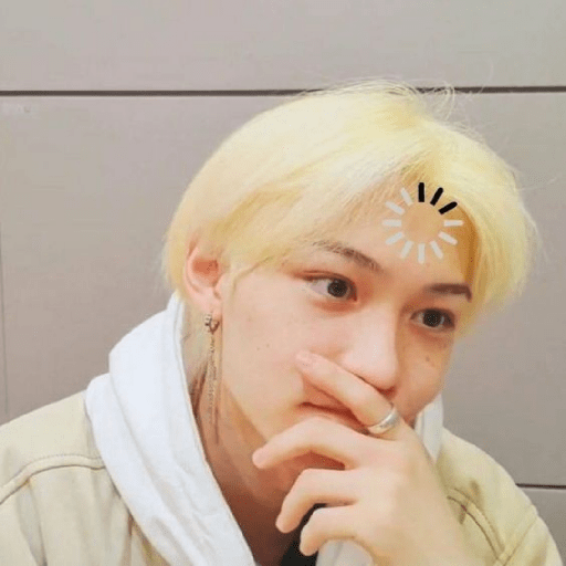Stray kids random 28