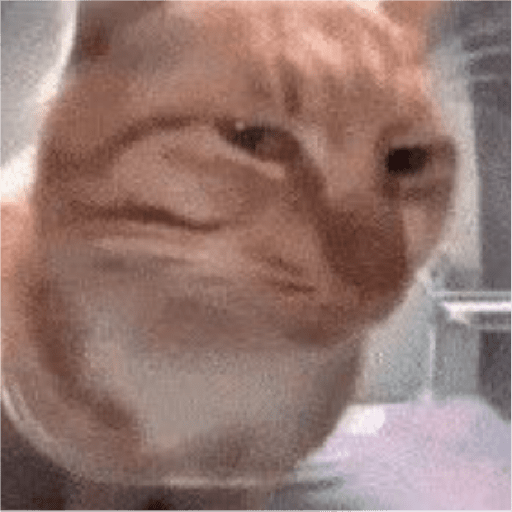 🐈‍⬛meow🐈‍⬛ 30