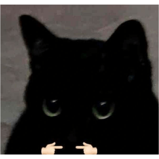 🐈‍⬛meow🐈‍⬛ 28