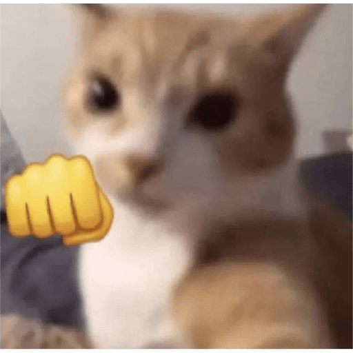 🐈‍⬛meow🐈‍⬛ 1