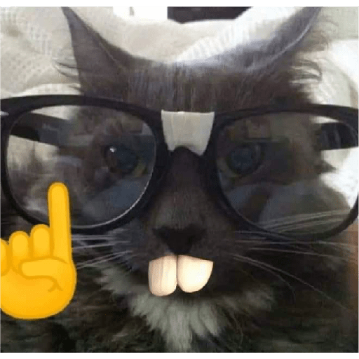 🐈‍⬛meow🐈‍⬛ 12