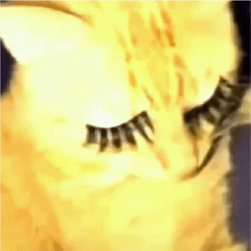 🐈‍⬛meow🐈‍⬛ 4