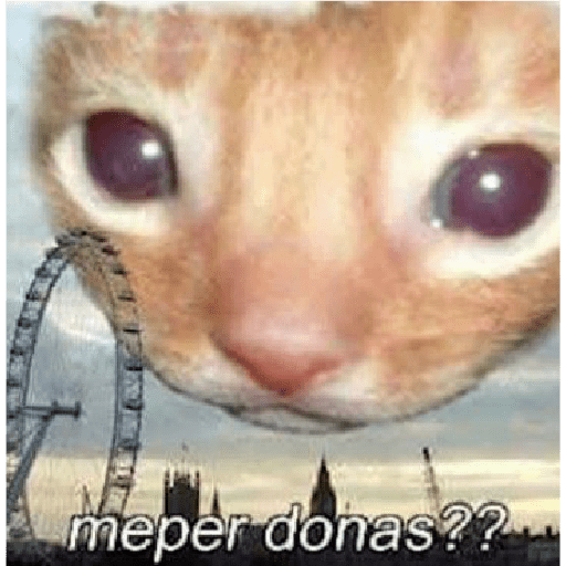 🐈‍⬛meow🐈‍⬛ 6