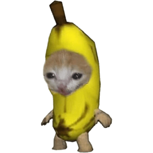 🐈‍⬛meow🐈‍⬛ 8