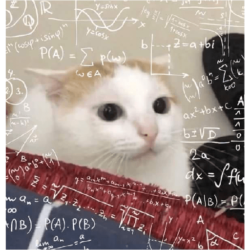 🐈‍⬛meow🐈‍⬛ 10