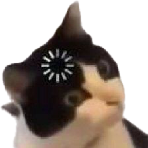 🐈‍⬛meow🐈‍⬛ 19