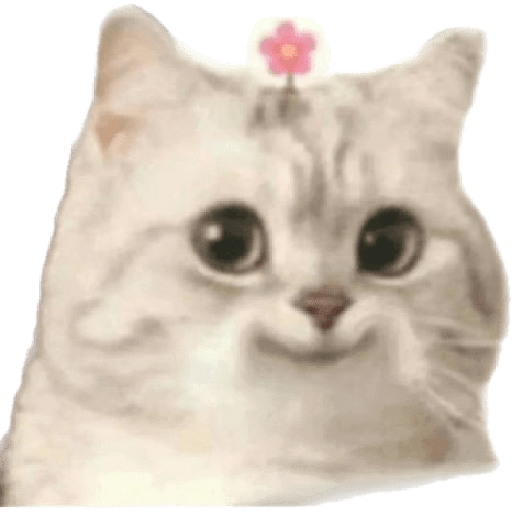 🐈‍⬛meow🐈‍⬛ 21