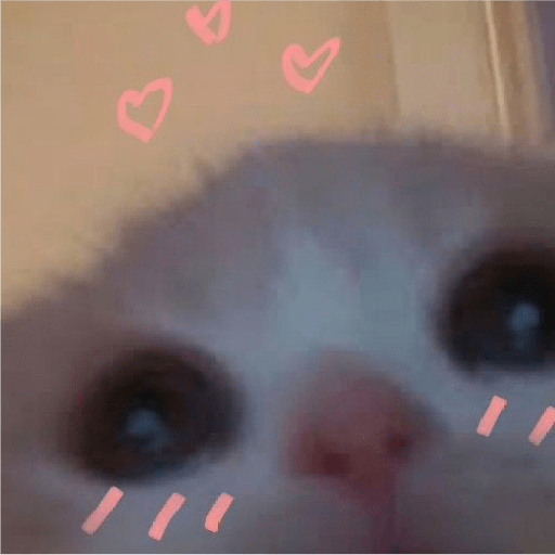 🐈‍⬛meow🐈‍⬛ 22