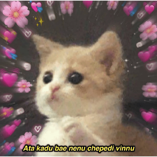 Wholesome telugu 7