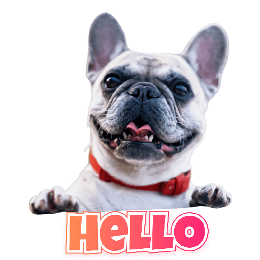 Sticker Image