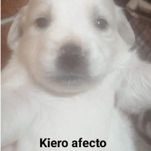 Mas memes de mierda 22
