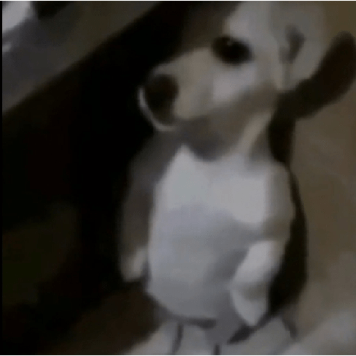 Mas memes de mierda 20