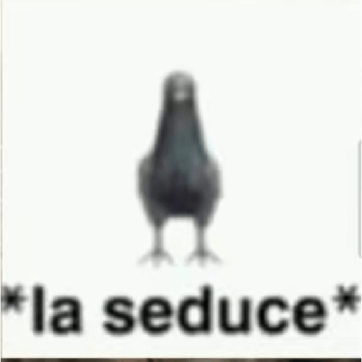 Mas memes de mierda 16