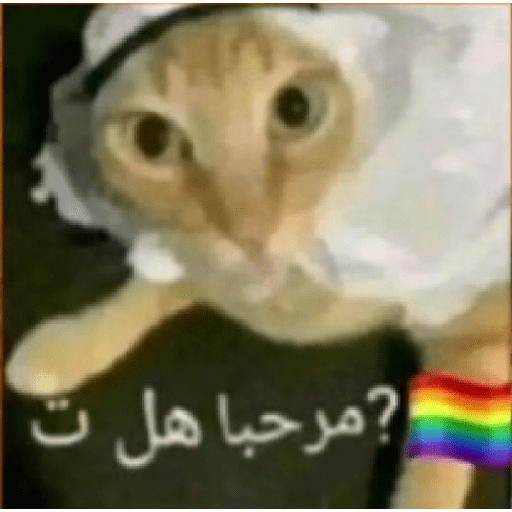 Mas memes de mierda 7