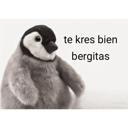 Mis pegatinas 24