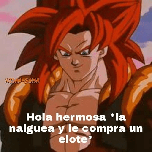 Dragon ball v4