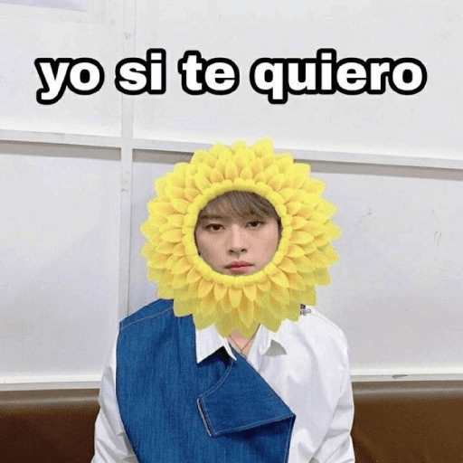 Copys K-pop 18