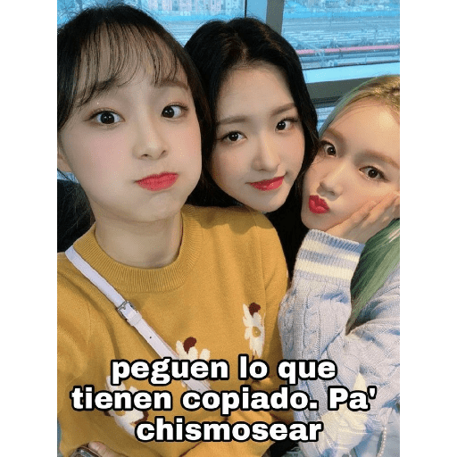 Copys K-pop 21