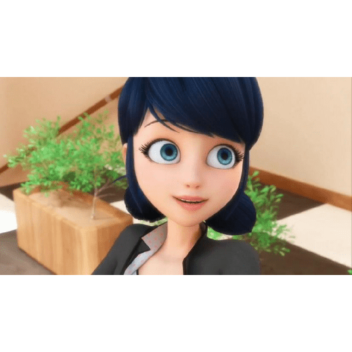 Marinette Agreste Ladybug 17