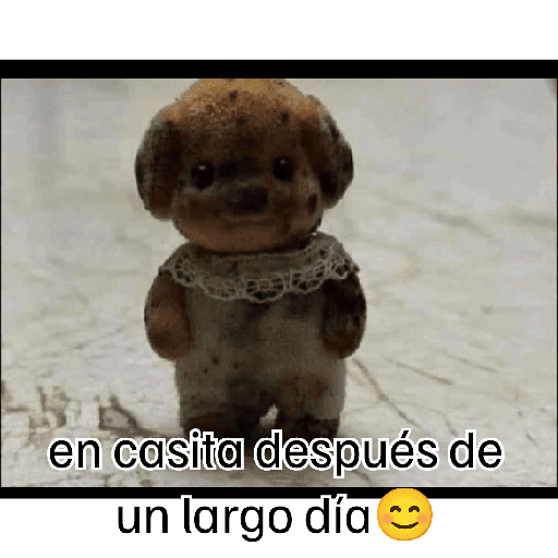 Gatito 7