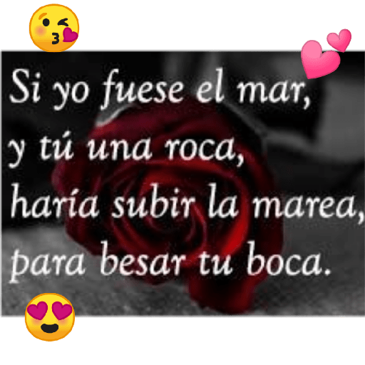 Te Quiero mucho 23