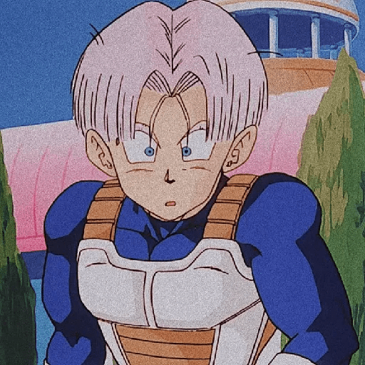 Trunks 16