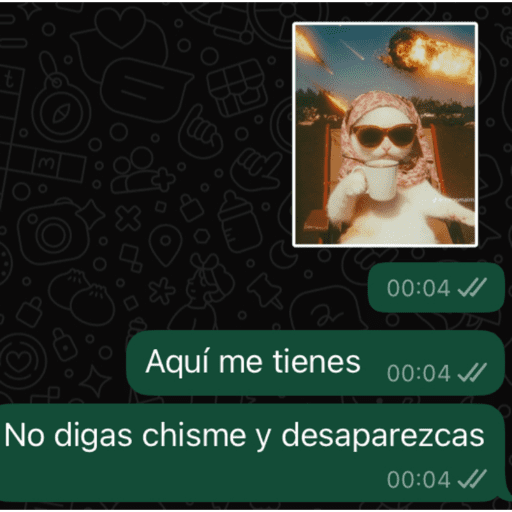 Mis pegatinas